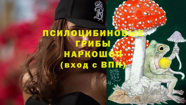 марихуана Каменногорск