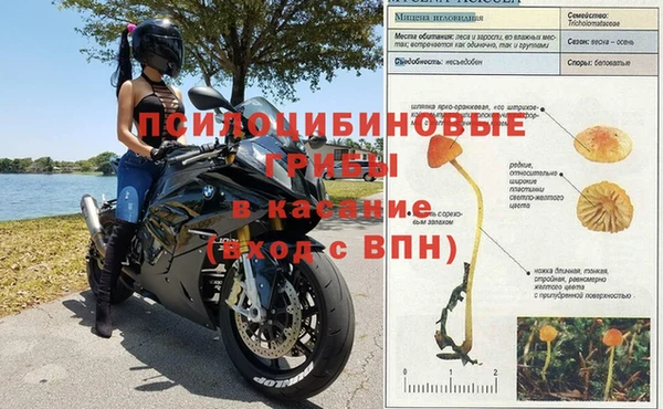 ПСИЛОЦИБИНОВЫЕ ГРИБЫ Каменск-Шахтинский