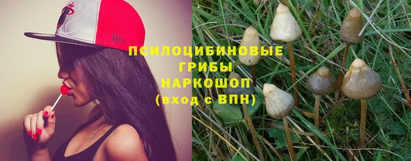 ПСИЛОЦИБИНОВЫЕ ГРИБЫ Каменск-Шахтинский