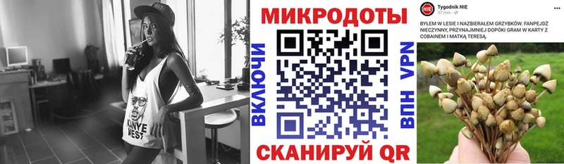Галлюциногенные грибы Magic Shrooms  Купить закладки  Качканар 