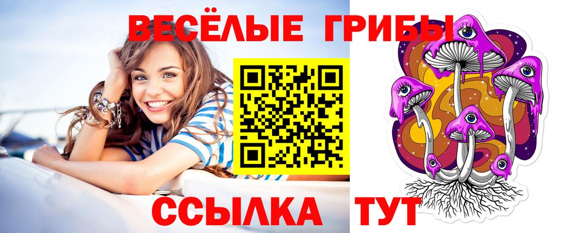 Псилоцибиновые грибы Psilocybine cubensis Качканар