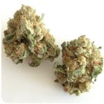 Шишки "White Widow"  (Белая вдова)  Гидропоника -  Бошка VHQ в Качканаре